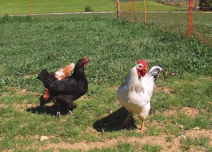 Wunderwelt Familiär-ländlich-modern *