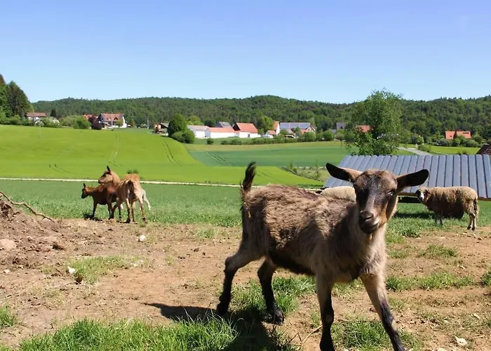 Wunderwelt Familiär-ländlich-modern * Betzenstein