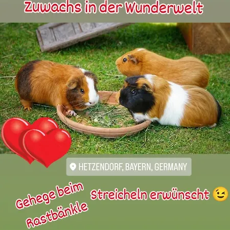 Wunderwelt Familiaer-laendlich-modern Appartamento